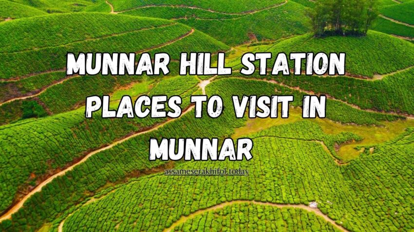 Munnar Hill Station | Places To Visit in Munnar